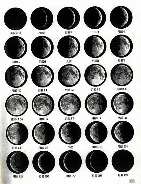 各个不同月相的名称是什么？ 初一到三十的月相图