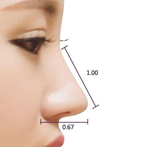 悬胆鼻长什么样？悬胆鼻标准照片 悬胆鼻标准照片