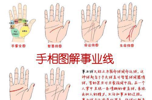 手指间隙观测人的性格 手指关节间隙变窄