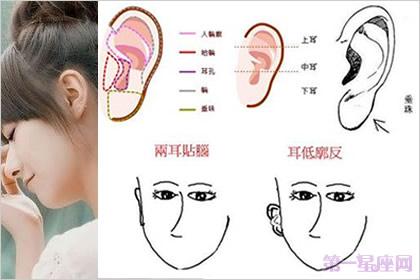 耳朵看相：常见的十种女性耳相 耳朵看相准吗