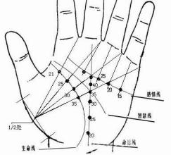手相的四个基本线条 手相图示水星丘或太阳丘有线条