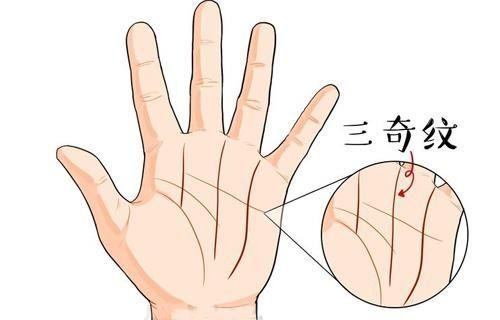 手掌纹有大讲究 感情顺利看手相 手掌井字纹 智慧 感情