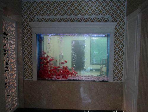 为什么有些酒店门口总有大鱼缸 自制鱼缸过滤器设计图