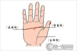 全面解析：女人假断掌手相图解 假断掌和真断掌手相的分辨方法