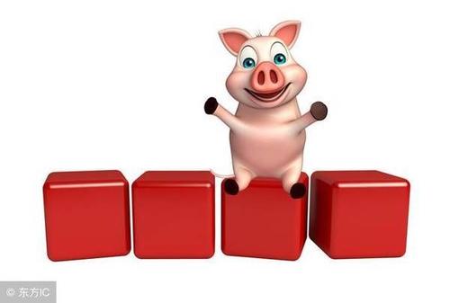 属猪人事业受挫怎么转运 属猪的今年带什么转运