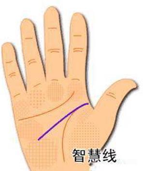 手相智慧线分叉代表什么 手相 智慧线