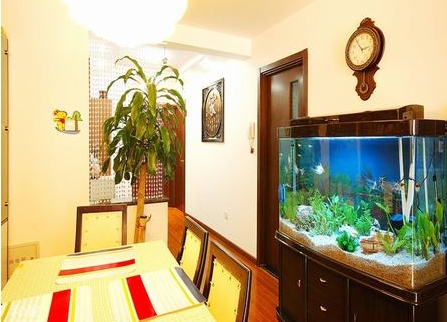 鱼缸在客厅摆放风水常识 客厅装修如何摆放鱼缸