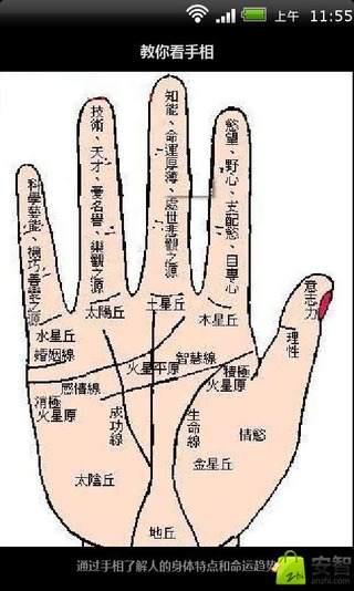 一个人的手纹特别乱代表什么 手纹很乱代表什么