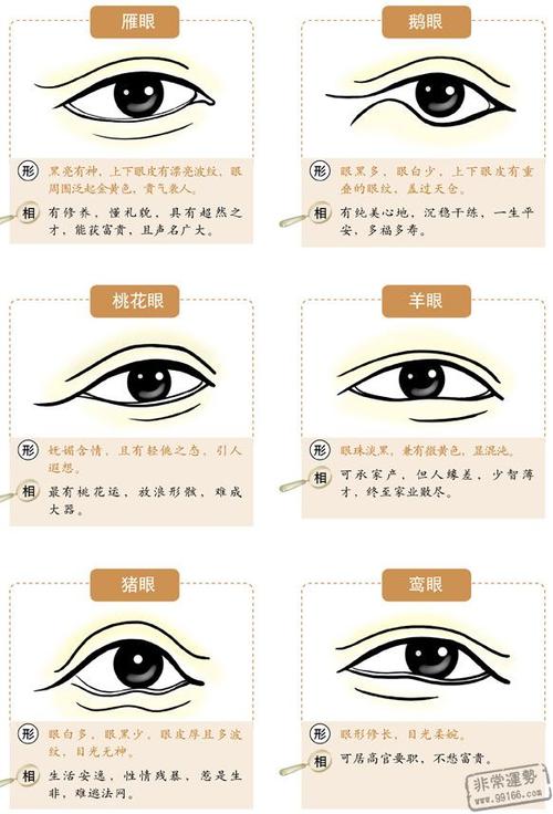 眼睛看相最好的眼是什么特征 眼睛有什么眼型