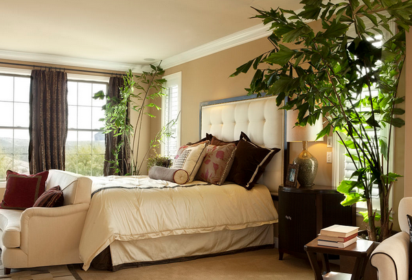卧室适合放什么风水植物 卧室植物摆放风水禁忌有哪些