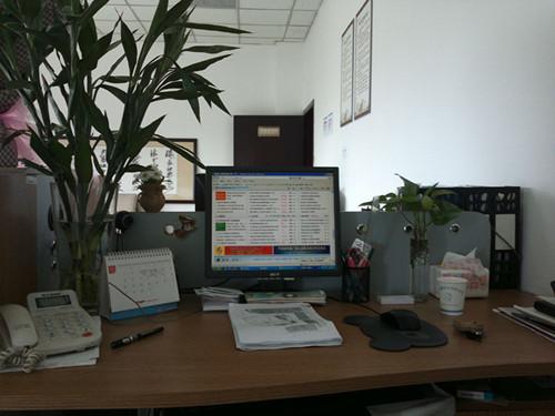 办公桌上适合摆放什么样的风水植物分别有何作用 办公桌风水植物摆放