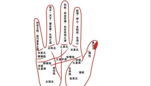手指、手掌变形与疾病★掌纹手相★ 看手相看哪只手