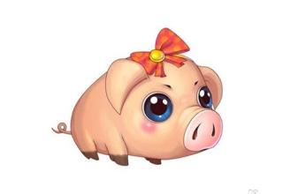 十二生肖吉祥物 属猪有哪些开运吉祥物 属猪的吉祥物是什么
