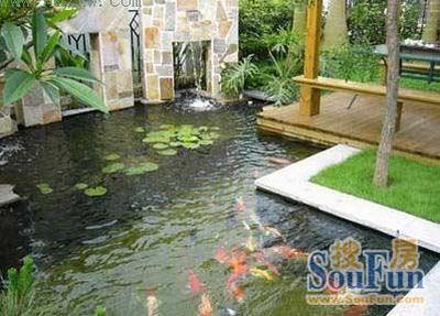庭院鱼池风水设计 庭院鱼池设计风水