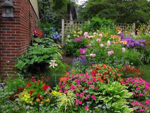 自家院子里栽什么花好 庭院种植10种常见花卉