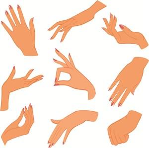 手形手色的鉴别方法 简述天然麝香的手试经验鉴别方法