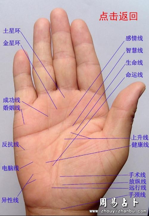 怎样看手纹算命 最简单的手指算命方法