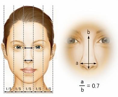 鼻子高挺的女人面相解析 鼻子高挺的女人面相