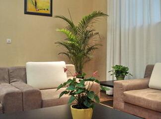 客厅放什么植物风水最好 客厅摆什么植物风水好