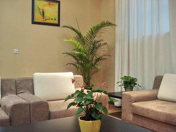哪些绿植适合摆放在客厅 客厅适合放什么绿植