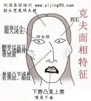 女人眉骨高面相看相分析命运 眉骨突出面相