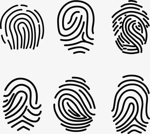 关于手指纹路的说法 分析六种手指纹路 手指纹路
