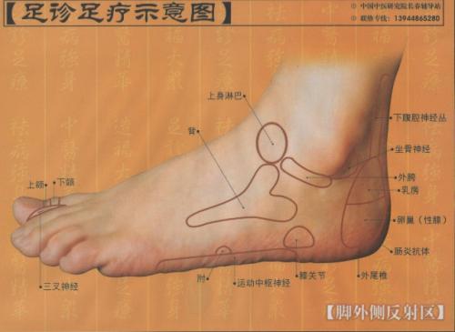 女人左脚底代表什么含义解析！ 左脚