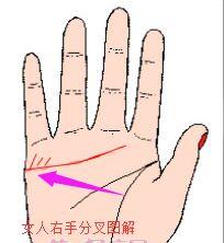 女人右手感情线中间向下分叉代表什么 女人右手感情线分叉