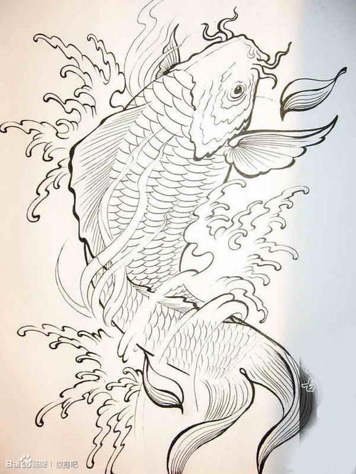 鲤鱼纹在什么部位好 鲤鱼纹身寓意 鲤鱼纹身的讲究