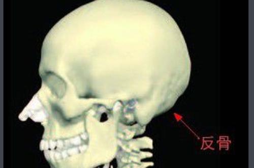 反骨面相长什么样反骨的人有什么样的性格 耳有反骨面相