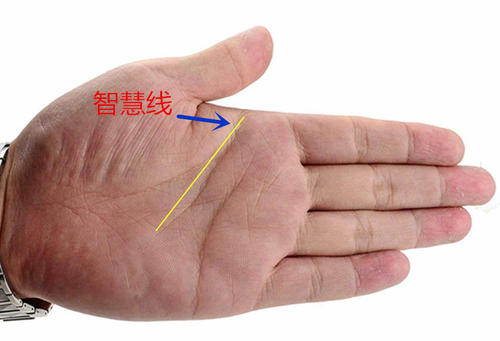 手相手纹智慧线分析 手纹智慧线