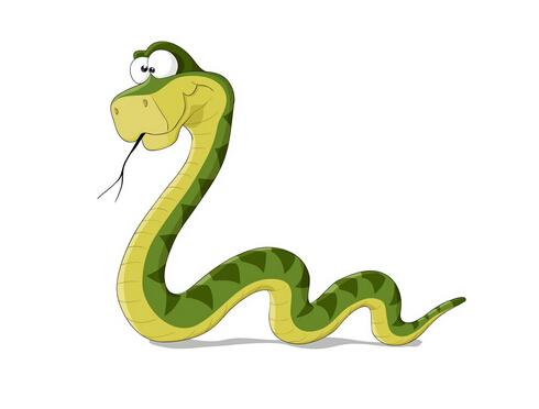 属蛇和鸡的人最适合住的楼层有哪些 属蛇适合的楼层