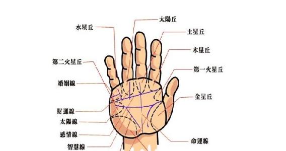 详解男人的手纹怎么看 怎么看手纹