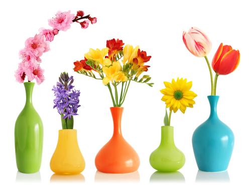 花瓶内的花不同 对家庭风水的影响不同 花瓶 风水