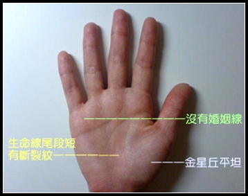 婚姻容易出现问题的手相特征★掌纹手相★ 四条掌纹手相