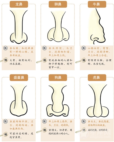 面相算命图解 鼻子 看五官面相算命图解