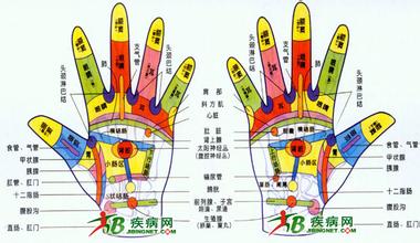 手掌对应内脏图解 左手掌对应内脏图