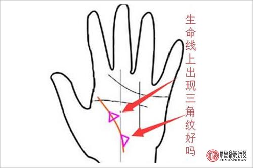 手掌中心一个大三角形意味着什么 手掌中心一个大三角形