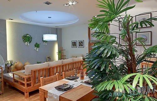 室内客厅植物摆放风水怎么看 客厅摆放什么植物招财