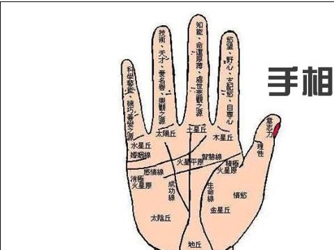 右手手掌有痣代表什么？右手手掌有痣图解大全！ 右手手掌有痣代表什么