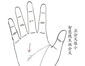 手相中的智慧线手纹代表什么 手纹智慧线