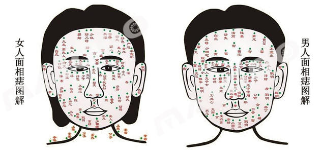 女人看面相大全图解法 面相解析 女人法令纹深代表什么
