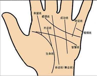 手相解析手掌财运线是哪一条 女手掌有二条线手相