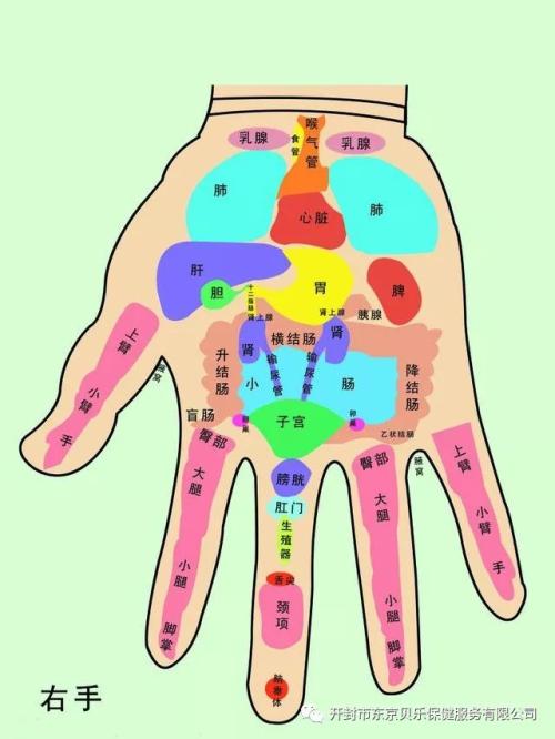 手诊歌：遥感诊病位置记忆★掌纹手相★ 怎样看手诊