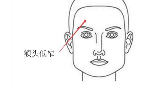 额头窄的面相命运如何面相额头窄分析 额头左右窄面相