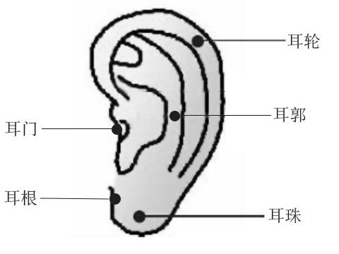 男人耳朵上有痣代表了什么 耳朵里有痣的男人