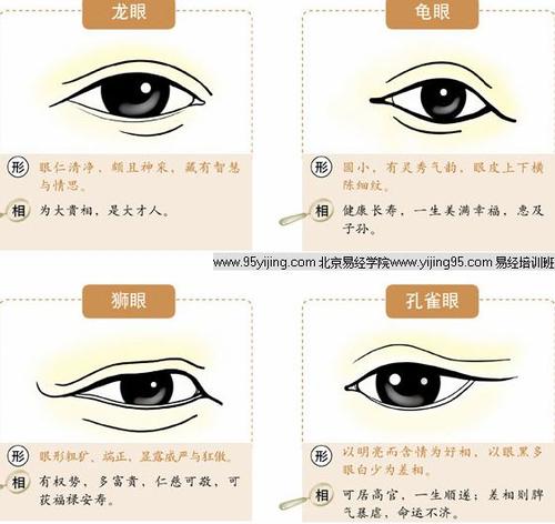 相术眼睛怎么看性格 相术眼睛