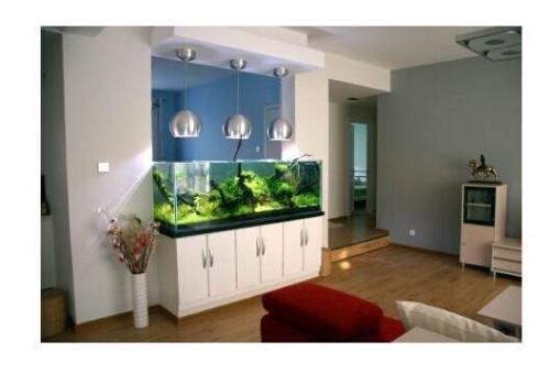 家中鱼缸要摆放在哪最好 鱼缸摆放客厅哪里最好