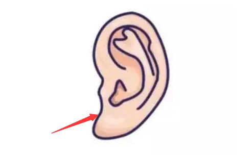 耳朵小就是短命谈谈耳朵小的女人面相 短命的面相