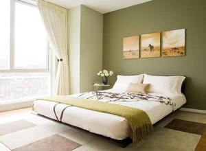 卧室风水：不适合放在卧室的物品 什么植物适合放卧室